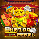 RTP joker solidplay99